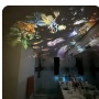 K**u customer projection photo 1